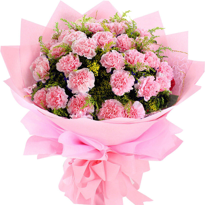 健康平安-33支精品粉色康乃馨-上海鲜花