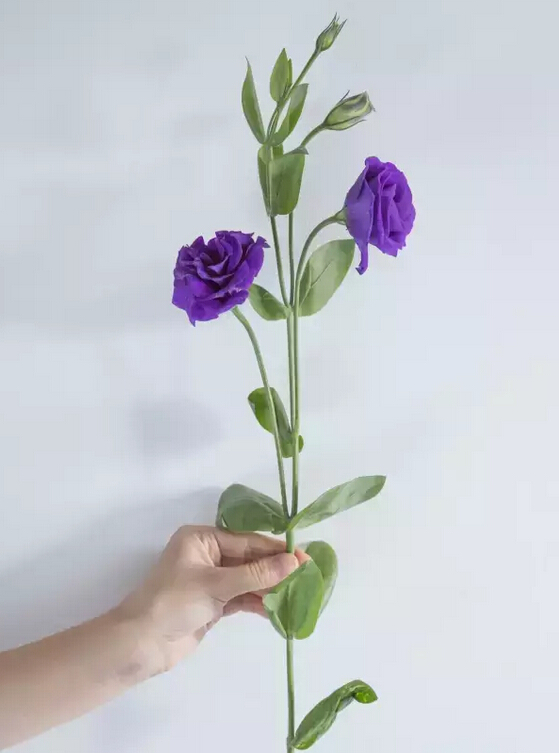 紫色洋桔梗的花语是什么 紫色洋桔梗花束推荐 娟蝶鲜花蛋糕网