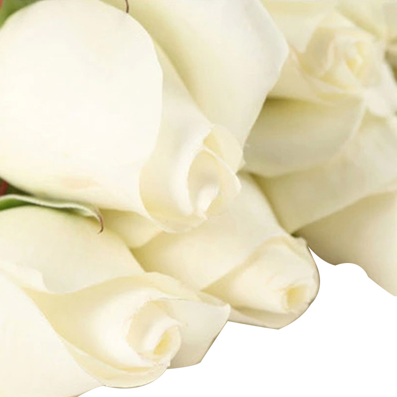 永远的思念-6支白玫瑰+6支白菊花