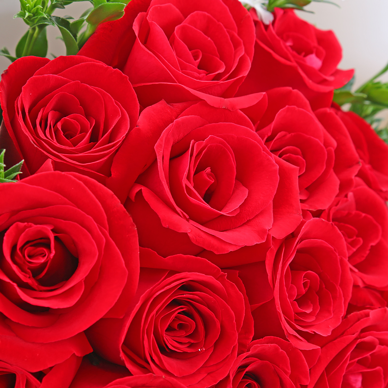 爱的芬芳-21支精品红玫瑰