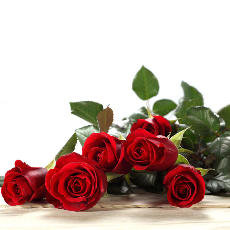 最美的爱-33支精品红玫瑰