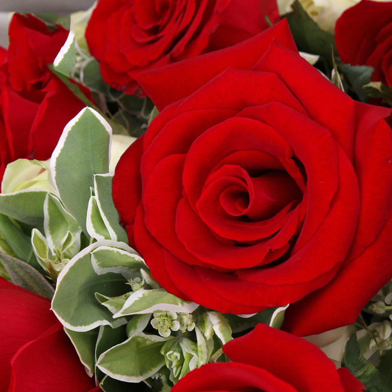 巴黎恋人-19支精品混色玫瑰